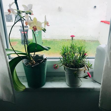 La Toskana Apartment Ihr Rueckzugsort Am Regen Zeitlarn エクステリア 写真