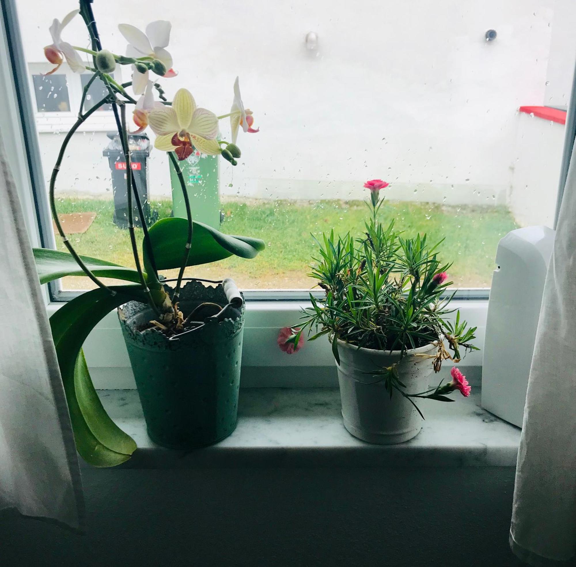 La Toskana Apartment Ihr Rueckzugsort Am Regen Zeitlarn エクステリア 写真